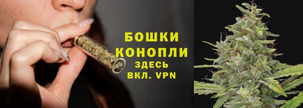 не бодяженный Гусиноозёрск