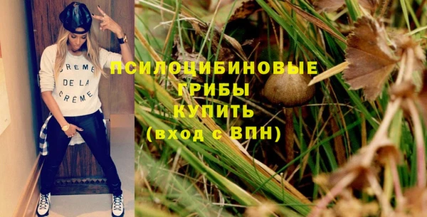 амф Слюдянка
