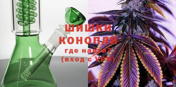 дживик Грязовец