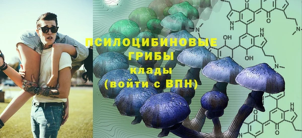 МДПВ Новодвинск