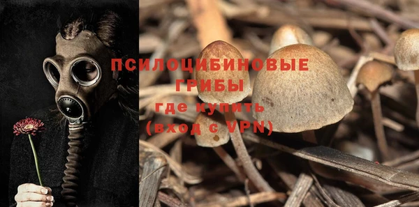 МДПВ Новодвинск