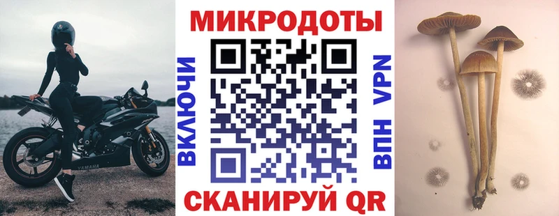 купить наркотики цена  Судогда  Галлюциногенные грибы ЛСД 