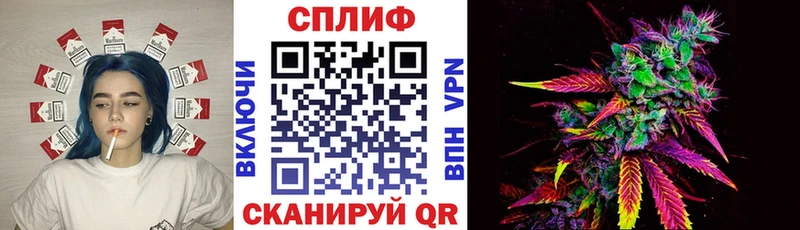Бошки Шишки семена Судогда