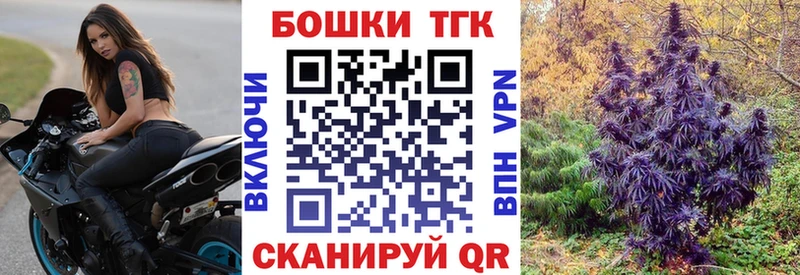 МАРИХУАНА THC 21%  как найти   Судогда 